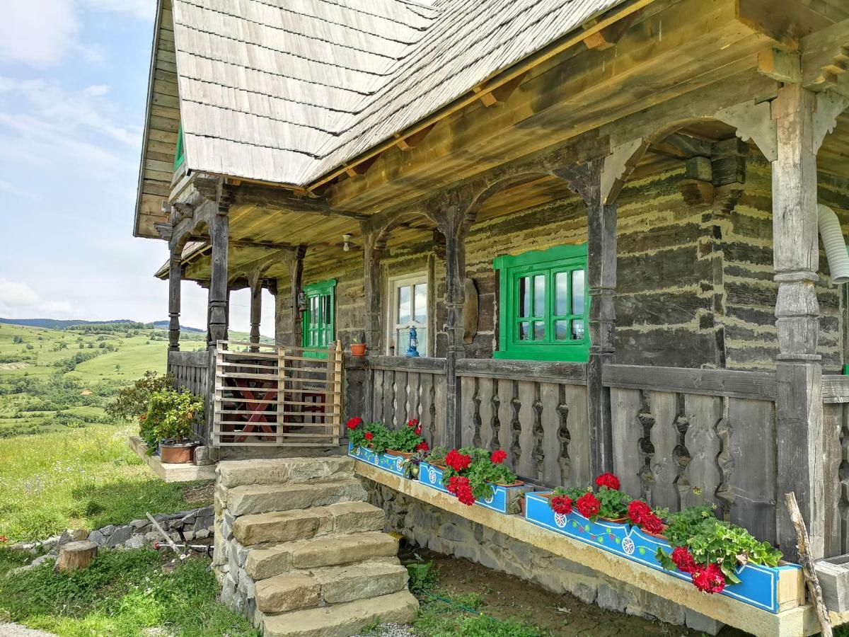 منزل الضيف Glod   في Casa Glod المظهر الخارجي الصورة