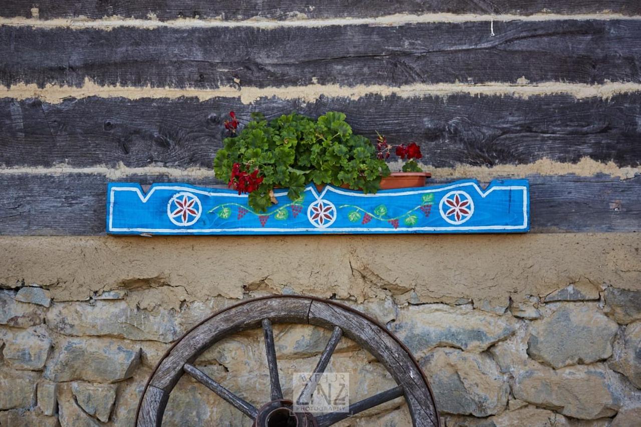 منزل الضيف Glod   في Casa Glod المظهر الخارجي الصورة